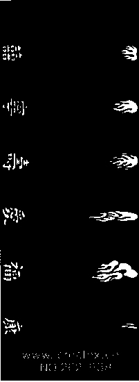 temp1113_0qXmR1YPz6pDso Chinesische Schriftzeichen & Flammen