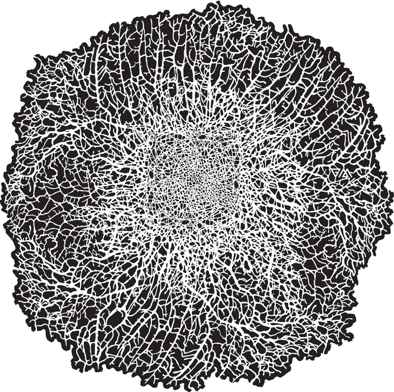temp4581_0aBX3QUWos2VEB